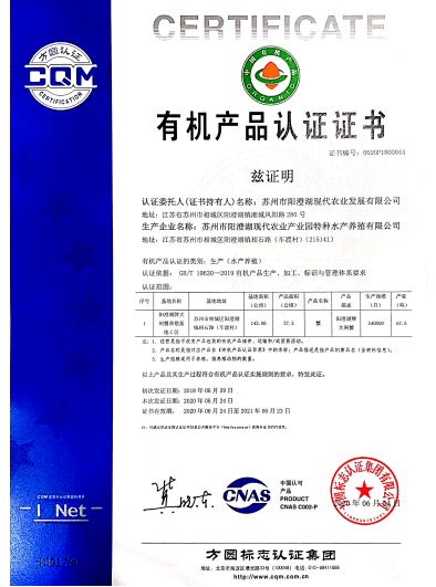 澳门和香港今晚一肖必中特|全面释义解释落实